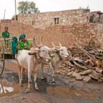 Bauer mit Kindern und Ochsenkarren im Dorf Aihole, Karnataka, Indien, Asien | farmer with children and ox cart, Aihole, Karnataka, India, Asia