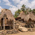 Dorfplatz mit Grab, Schreinen und traditionelle strohgedeckte Holzhäuser im Ngada Dorf Bena, Bajawa, Insel Flores Indonesien, Asien | traditional high thatch-roofed houses, grave and shrines in the Ngada village Bena near Bajawa, Flores, Indonesia, Asia