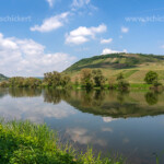 Weinberge an der Mosel bei Briedel, Rheinland-Pfalz, Deutschland | vineyard at the Moselle river near Briedel, Rhineland-Palatinate, Germany