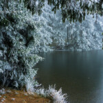 Zugefrorener Teich des Oberharzer Wasserregal, Teil des UNESCO Welterbe im Harz, Clausthal-Zellerfeld, Niedersachsen, Deutschland | Frozen pond of the Upper Harz Water Regale, part of the UNESCO World Heritage in the Harz Region, Clausthal-Zellerfeld, Lower Saxony, Germany