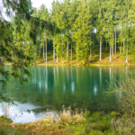 Der Grumbacher Teich bei Hahnenklee-Bockswiese, Goslar, Niedersachsen, Deutschland | pond Grumbacher Teich neari Hahnenklee-Bockswiese, Goslar, Lower Saxony, Germany