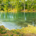 Der Grumbacher Teich bei Hahnenklee-Bockswiese, Goslar, Niedersachsen, Deutschland | pond Grumbacher Teich neari Hahnenklee-Bockswiese, Goslar, Lower Saxony, Germany