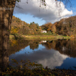 Herbst an der Lennemündung in die Ruhr, Hagen, Nordrhein-Westfalen, Deutschland | Autumn at the Lenne river mouth into the Ruhr, Hagen, North Rhine-Westphalia, Germany.