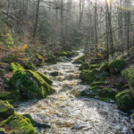 Die Ilse am Heinrich-Heine-Weg bei Ilsenburg, Sachsen-Anhalt, Deutschland | Ilse river at the Heinrich Heine Trail near Ilsenburg, Saxony-Anhalt, Germany, Europe