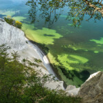 Steilküste und Kreidefelsen Møns Klint, Insel Mön, Dänemark, Europa | steep chalk cliffs Moens Klint, Moen island, Denmark, Europe