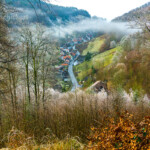 Nebel im Tal von Lerbach, Osterode am Harz, Niedersachsen, Deutschland | fog at the Lerbach valley, Osterode am Harz, Lower Saxony, Germany