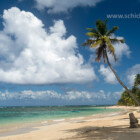 Sandstrand mit Palmen in Las Terrenas, Halbinsel Samana, Dominikanische Republik, Karibik, Amerika | palm fringed beach in Las Terrenas, Samana peninsula, Dominican Republic, Carribean, America,