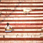Mann und zwei Ziegen auf einer rot weissen Treppe der Ghats in Varanasi, Uttar Pradesh, Indien, Asien | Man and 2 goats on the red white ghat stairs in Varanasi, Uttar Pradesh, India, Asia