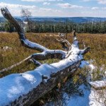 Landschaft auf dem Kahlen Asten bei Winterberg, Sauerland, Nordrhein-Westfalen, Deutschland | landscape on mount Kahler Asten near Winterberg, Sauerland, North Rhine-Westphalia, Germany