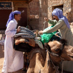 Ort St. Kathrin oder El Milga, Sinai, Ägypten, Afrika | Saint Katherine or El Miga village, Sinai, Egypt, Africa,