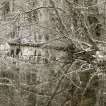 Das Hönnetal im Sauerland