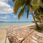 Zum Trocknen ausgelegte Fische, Port Barton, Insel Palawan, Philippinen, Asien | Fish laid out for drying, Port Barton, Palawan Island, Philippines, Asia