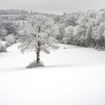 Verschneite Winterlandschaft im Sauerland, Sundern, Hochsauerlandkreis, Nordrhein-Westfalen| Snowy winter landscape in Sundern, Hochsauerland district, North Rhine-Westphalia, Germany