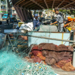 Fischer mit Netz bei der Arbeit, Porto, Portugal, Europa | fishermen with net at work, Porto, Portugal, Europe