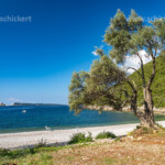 Der Strand im Dorf Zanjice, Halbinsel Luštica, Montenegro, Europa | The beach at Zanjice village, Luštica peninsula, Montenegro, Europe
