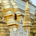 Yangon oder Rangun, Myanmar , Asien | Yangon or Rangoon, Myanmar, Asia