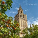 Glockenturm Giralda und Orangenhof, Kathedrale Santa María de la Sede in Sevilla, Andalusien, Spanien | bell tower Giralda Seville Cathedral Saint Mary of the See, Seville, Andalusia, Spain,