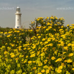 Leuchtturm im Archäologischen Park von Paphos, Zypern, Europa | Lighthouse at Paphos Archaeological Park, Paphos, Cyprus, Europe