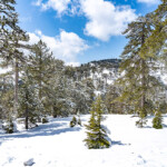Verschneite Landschaft im Troodos-Gebirge in Trodoos, Zypern, Europa | Snowy winter landscape of the Troodos Mountains in Trodoos, Cyprus, Europe