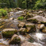 Landschaft am Fluss Murg, Murgtal, Schwarzwald, Baden-Württemberg, Deutschland | Murg river landscape, Murg valley, Black Forest, Baden-Württemberg, Germany