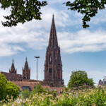 Blick vom Stadtgarten auf das Freiburger Münster, Freiburg im Breisgau, Schwarzwald, Baden-Württemberg, Deutschland | View from City garden to the Freiburg Cathedral, Freiburg im Breisgau, Black Forest, Baden-Württemberg, Germany, Europe