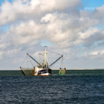 Fischkutter an der Küste des Ellenbogen bei List, Insel Sylt, Kreis Nordfriesland, Schleswig-Holstein, Deutschland, Europa | fishing boat at the Elbow coast near List, Sylt island, district of North Friesland, Schleswig-Holstein, Germany, Europe