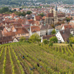 Blick über einen Weinberg auf Esslingen mit der Stadtpfarrkirche St. Dionys, Esslingen am Neckar, Baden-Württemberg, Deutschland | View over a vineyard to Esslingen with the Church of St. Dionys, Esslingen am Neckar, Baden-Württemberg, Germany