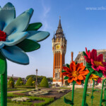 Riesige Kunstblumen vor dem Rathaus in Calais, Frankreich | Giant artificial flowers at the town hall Hôtel de Ville in Calais, France