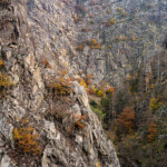 Das Bodetal im Harz bei Thale, Sachsen-Anhalt, Deutschland | The Bode Gorge in the Harz Mountains near Thale, Saxony-Anhalt, Germany