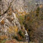 Der Fluss Bode im Bodetal im Harz bei Thale, Sachsen-Anhalt, Deutschland | The Bode river and the Bode Gorge in the Harz Mountains near Thale, Saxony-Anhalt, Germany