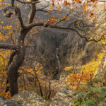 Blick von der Rosstrappe in das Bodetal im Harz bei Thale, Sachsen-Anhalt, Deutschland | View from the Rosstrappe to the Bode Gorge at the Harz Mountains near Thale, Saxony-Anhalt, Germany