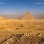 Kamele in der Wüste und die Pyramiden von Gizeh, Ägypten, Afrika | Camels in the desert and the pyramids in Giza, Egypt, Africa