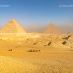 Kamele in der Wüste und die Pyramiden von Gizeh, Ägypten, Afrika | Camels in the desert and the pyramids in Giza, Egypt, Africa