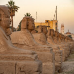 Sphingenallee am Luxor-Tempel in Luxor, Ägypten, Afrika | Avenue of Sphinxes at the Luxor Temple in Luxor, Egypt, Africa