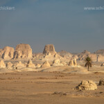 Weisse Kalksteinformationen und einzelne Palme im Nationalpark Weiße Wüste im ägyptischen Teil der Libyschen Wüste, Ägypten, Afrika | White chalk rock formations and single Palm Tree at the White Desert National Park, Egypt, Africa
