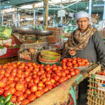 Gemüsehändler mit Tomaten in Kairo , Ägypten, Afrika | greengrocer with tomatoes in Cairo, Egypt, Africa