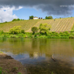 Weniberg und die Saar bei Saarburg, Rheinland-Pfalz, Deutschland | Vineyard and Saar River near Saarburg, Rhineland-Palatinate, Germany
